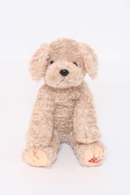 Parsnip Puppy